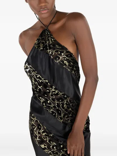 Roberto Cavalli See-through Long Dress With Animal Print In Black