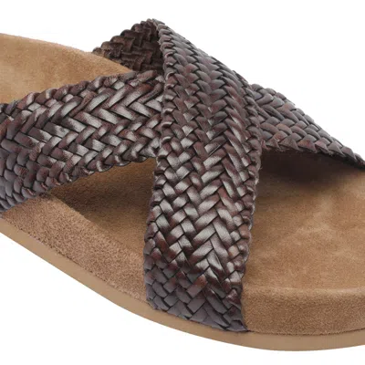 Dragon Diffusion Sandals In Black