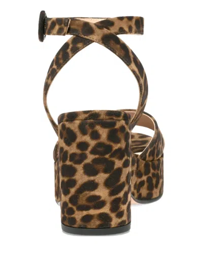 Gianvito Rossi Alma Leopard Ankle-strap Platform Sandals In Brown