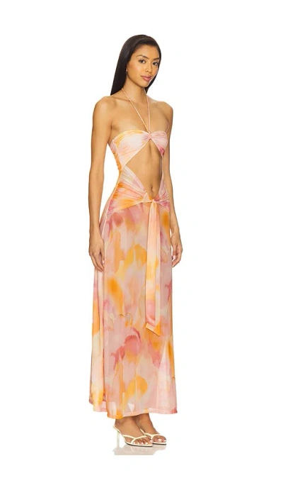 Devon Windsor Berrie Dress In Multi