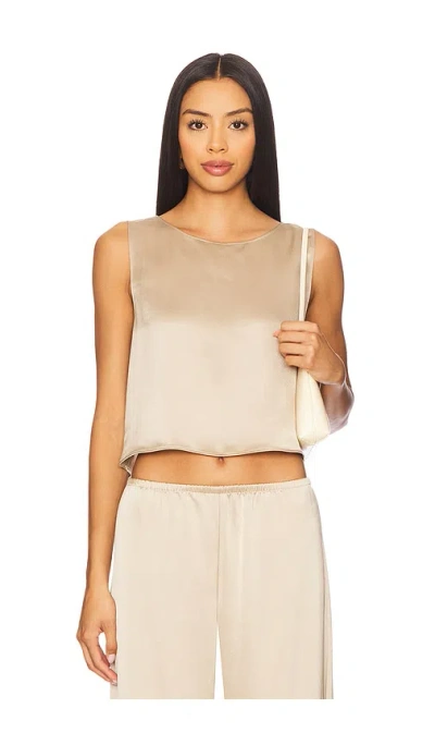Leset Barb Crop Sleeveless Crew Top In Brown