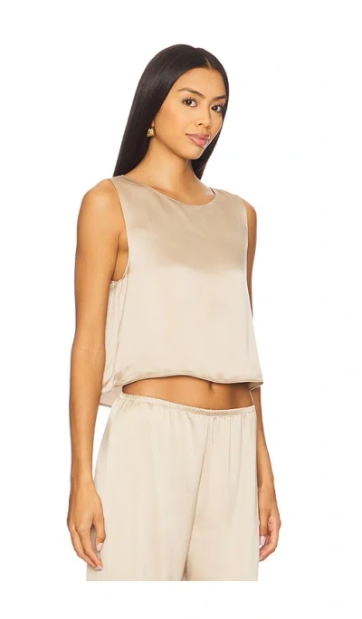 Leset Barb Crop Sleeveless Crew Top In Brown