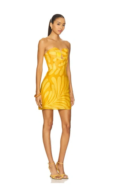 Cala De La Cruz Jolie Dress In Yellow