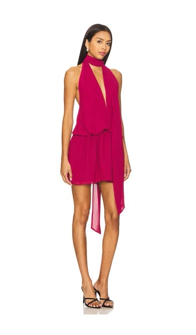Lovers & Friends Michelle Mini Dress In Pink