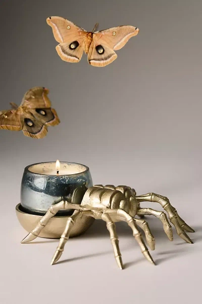 Catherine Martin Spider Candle In Black