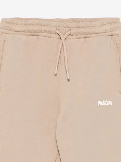 Msgm Kids Logo Joggers In Neutral