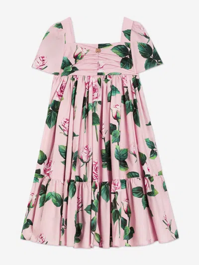 Dolce & Gabbana Rose-print Dress In Pink