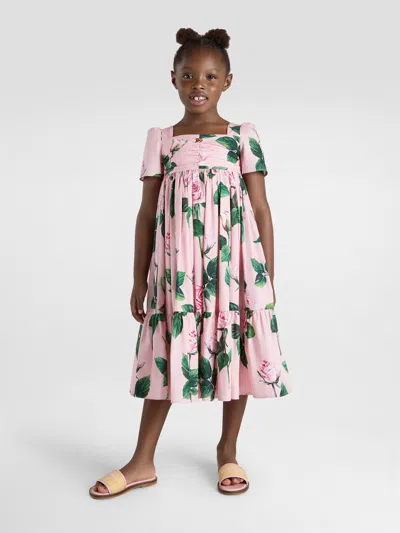 Dolce & Gabbana Rose-print Dress In Pink