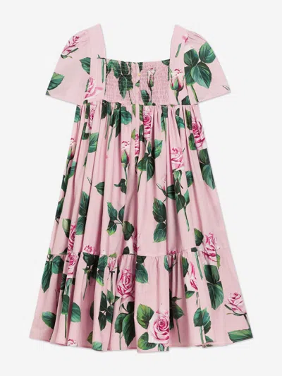 Dolce & Gabbana Rose-print Dress In Pink