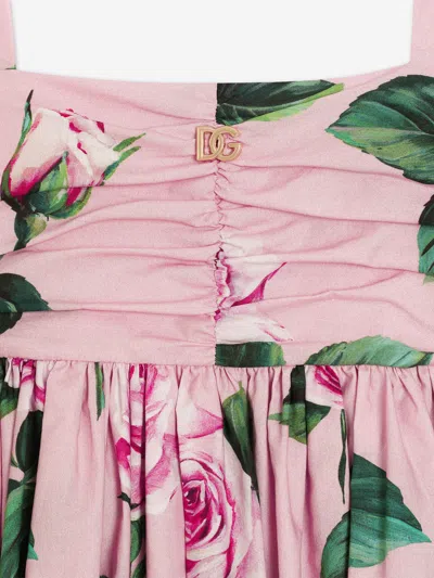 Dolce & Gabbana Rose-print Dress In Pink