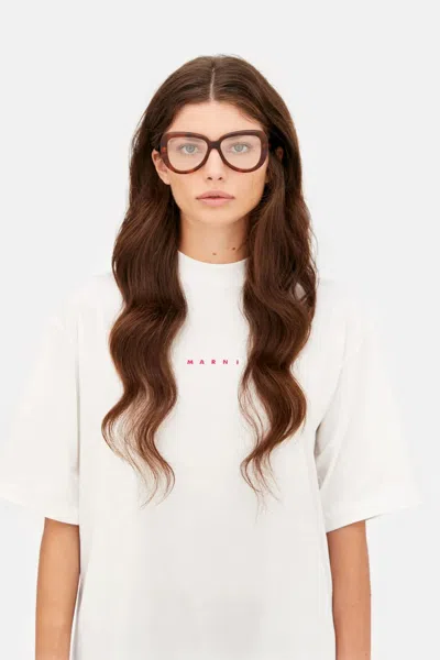 Marni Elephant Island Optical Blonde Havana In Brown
