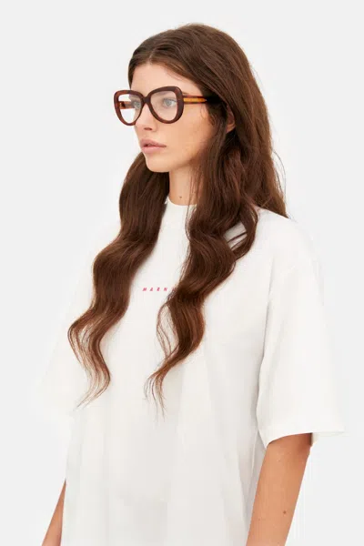 Marni Elephant Island Optical Blonde Havana In Brown