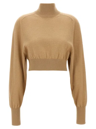 Sportmax Beige Ululato Turtleneck Sweater In Brown