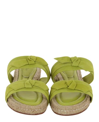 Alexandre Birman Clarita Espadrilles In Green