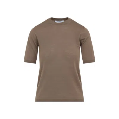 Max Mara Short-sleeve Virgin Wool Sweater With Classic Round Neckline In Brown