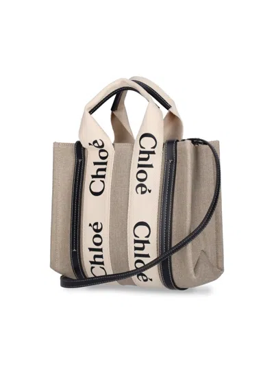 Chloé Chloe Multicolor Fabric Small Woody Shopping Bag In Multi
