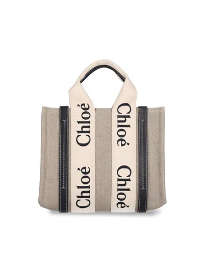 Chloé Chloe Multicolor Fabric Small Woody Shopping Bag In Multi