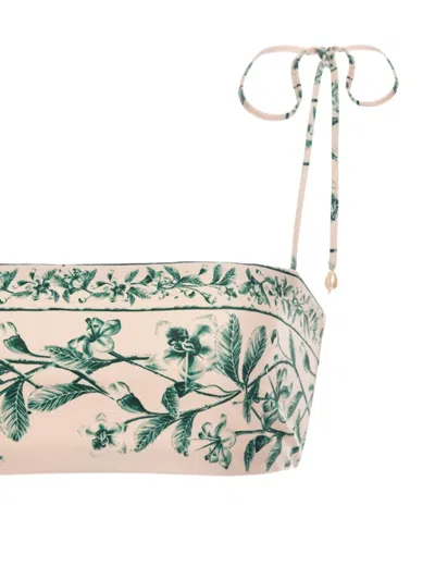 Agua By Agua Bendita Primavera Ceiba Floral-print Tie-strap Bikini Top In Neutral