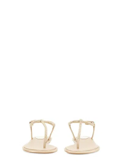 René Caovilla Sandals In Neutral