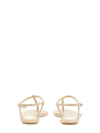 René Caovilla Sandals In Neutral
