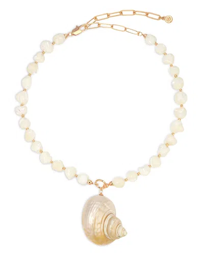 Ettika Sunken Treasure Shell Pendant Necklace In Gold
