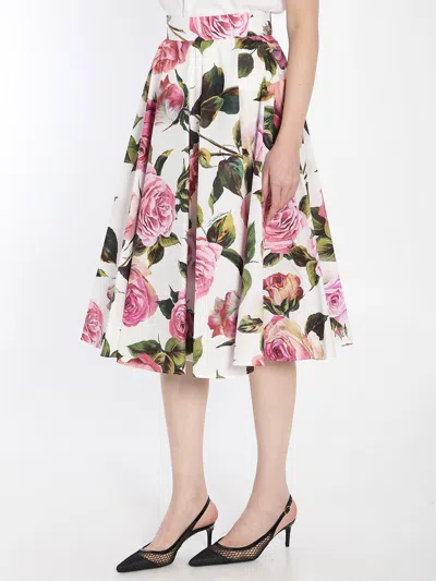Dolce & Gabbana Multicolor Rose-print Cotton Circle Midi Skirt In Pink