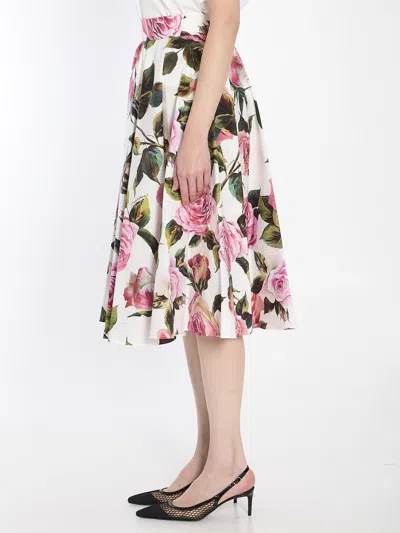 Dolce & Gabbana Multicolor Rose-print Cotton Circle Midi Skirt In Pink