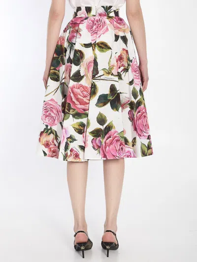 Dolce & Gabbana Multicolor Rose-print Cotton Circle Midi Skirt In Pink