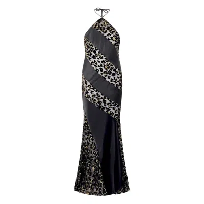 Roberto Cavalli See-through Long Dress With Animal Print In Black