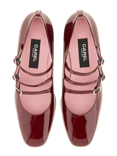 Carel Paris Woman Pumps Burgundy Size 9 Leather In Multi