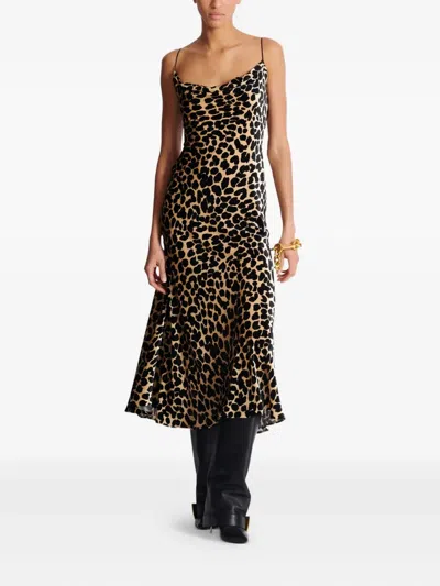 Balmain Velvet Leopard Print Midi Dress In Brown