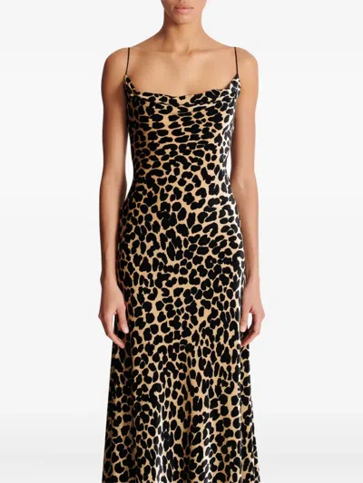 Balmain Velvet Leopard Print Midi Dress In Brown