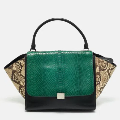 Pre-owned Celine Tricolor Python And Leather Large Trapeze Top Handle Bag In Multi