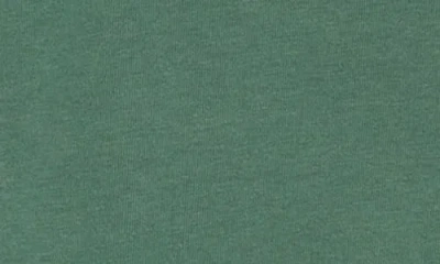 Goodie Two Sleeves Palm Springs Deer Graphic T-shirt In Green