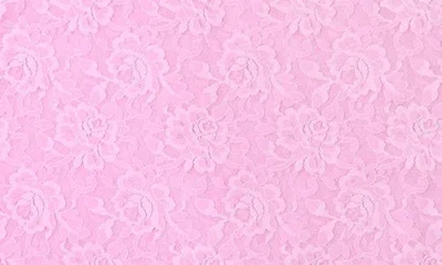 Hanky Panky Signature Lace Camisole In Pink