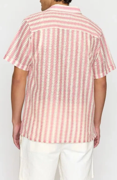 Raga Geometric Open Stitch Cotton Camp Shirt In Pink