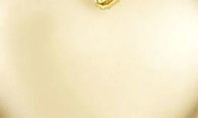 Adornia Set Of 2 Hoop Earrings