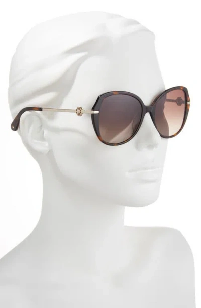 Kate Spade New York Taliyahgs 57mm Round Sunglasses