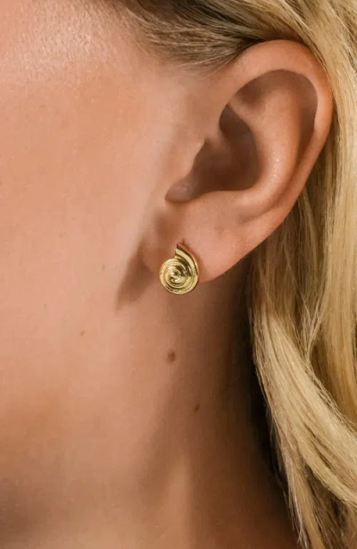 Sterling Forever Shell Stud Earrings