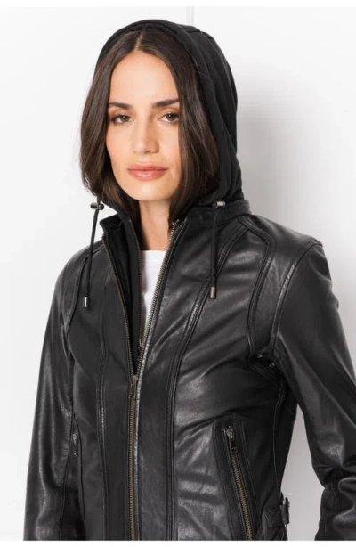 Lamarque Arlette Leather Biker Jacket