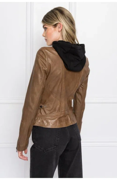 Lamarque Arlette | Leather Biker Jacket In Brown