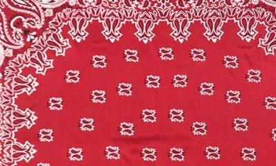 Petit Moments Bandana Print Square Scarf
