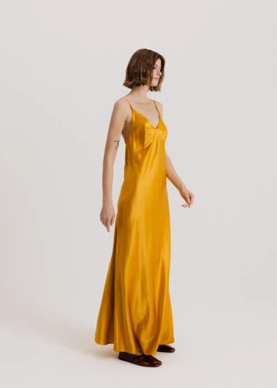 Alas 100 Silk Slip Maxi Dress
