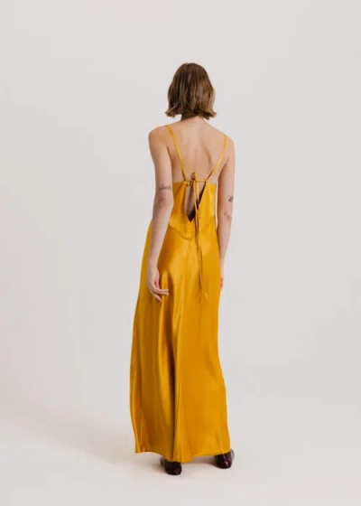 Alas 100 Silk Slip Maxi Dress