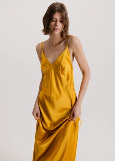 Alas 100 Silk Slip Maxi Dress
