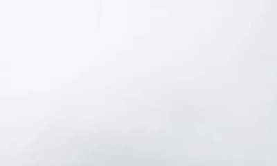 Domani Home Scallop Standard Hotel Pillow Sham In White