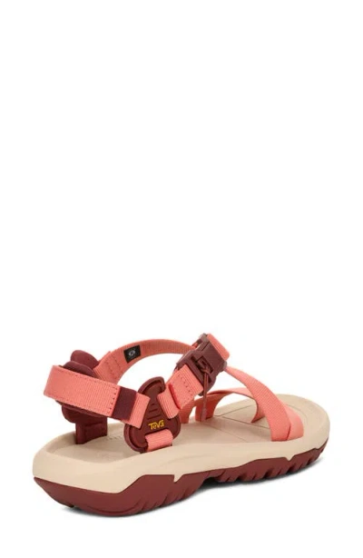 Teva Hurricane Terra Dactyl Sandal