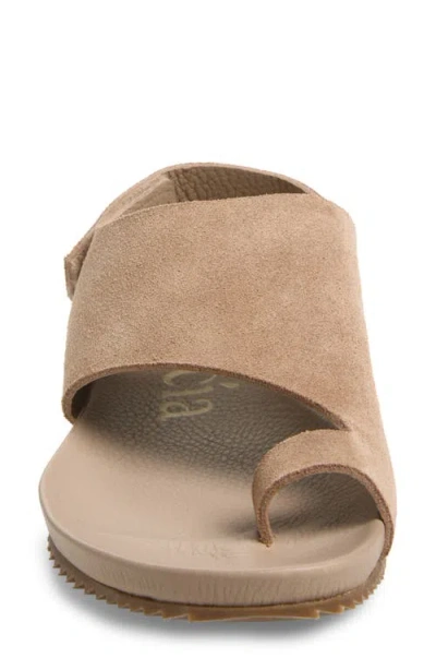 Pedro Garcia Valisa Toe Loop Sandal