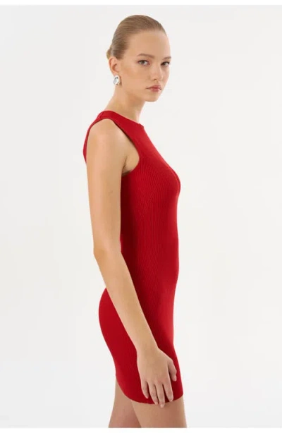 Lamarque Shay | Rib Knit Mini Dress