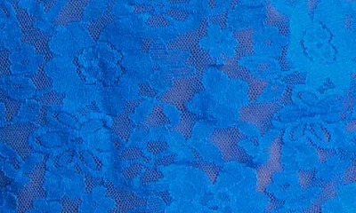 Hanky Panky Daily Lace™ Lace Camisole In Blue